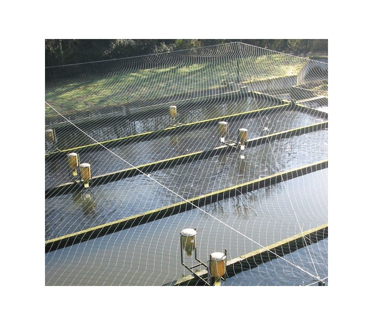 Anti Prédateurs - maille 50x50mm - Sur Mesure Anti Prédateurs - maille 50x50mm - Sur Mesure