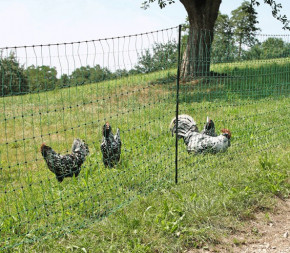 Piquet Enclos Amovible