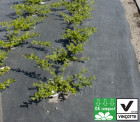 Ökolys ™ - Paillage compostable et biodégradable tissée - Rouleau de 100m