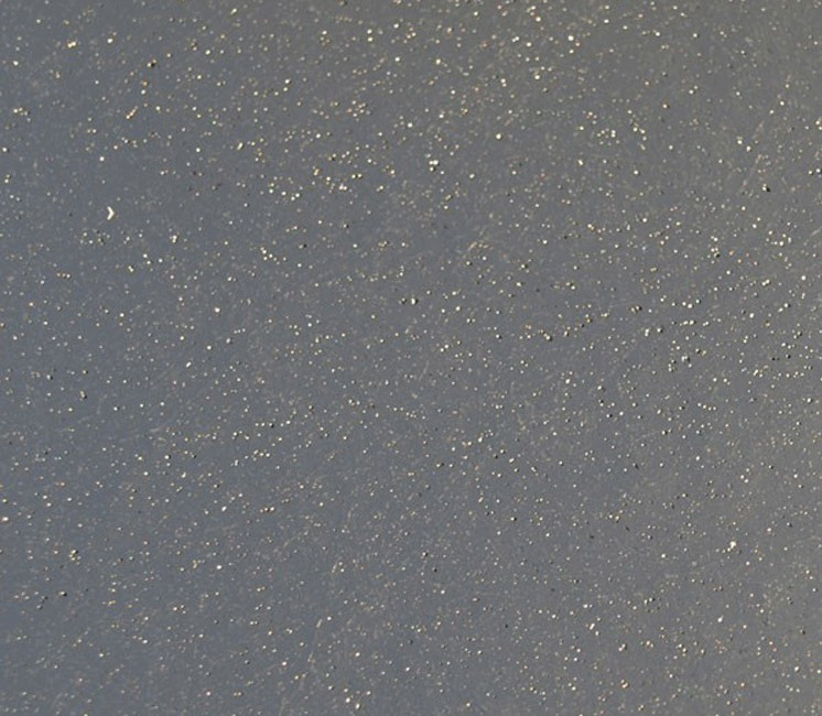 Anti Racines / Rhizomes / Bambou