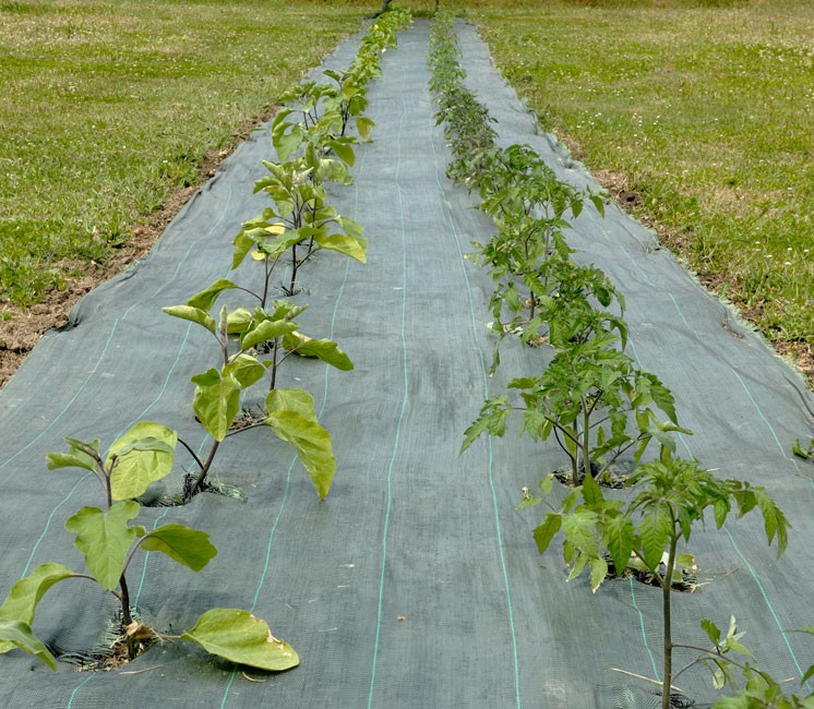 Toile de paillage 1.38m Toile de paillage 1.38m