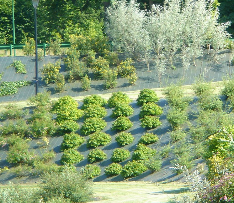 Toile de paillage 4.15mx100m : le meilleur rapport Qualité / Prix du marché