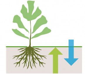 Toile de paillage tissée 415 cm