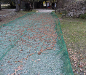 Filet de Récolte 50g Rouleau de 100m Filet de Récolte 50g Rouleau de 100m