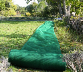 Filet de Récolte 65g Rouleau de 100m Filet de Récolte 65g Rouleau de 100m