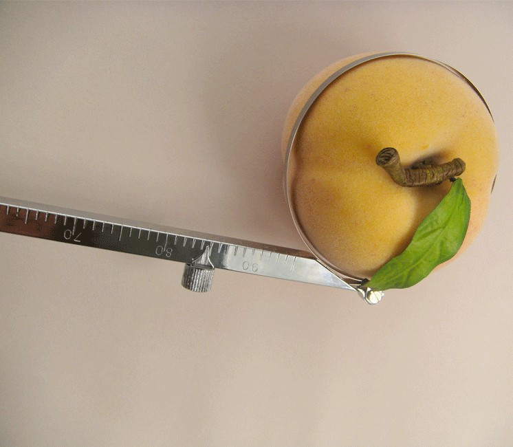 Jauge à curseur - Calibreur Ø25-95