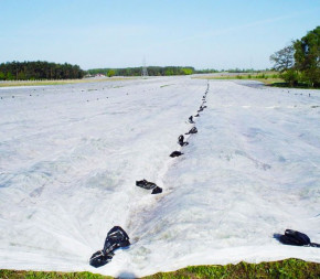 Voile de forçage Voile de forçage