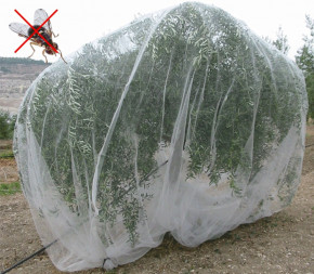 Alt'Mouche (Filet Anti-Insecte) Alt'Mouche (Filet Anti-Insecte)