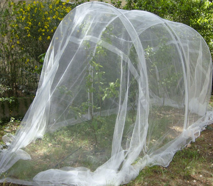 Filet de protection anti-insecte Bioclimat Filet de protection anti-insecte Bioclimat