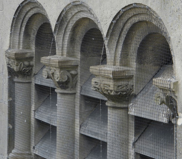 Filets de volière / Anti-Pigeon sur mesure Filets de volière / Anti-Pigeon sur mesure