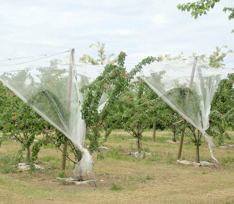 Filet anti-grêle 8x12m pour cultures, caravane, mobil home ou voiture