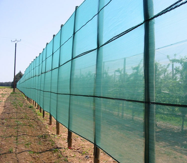 Filet Brise-vent - 1 x 100m