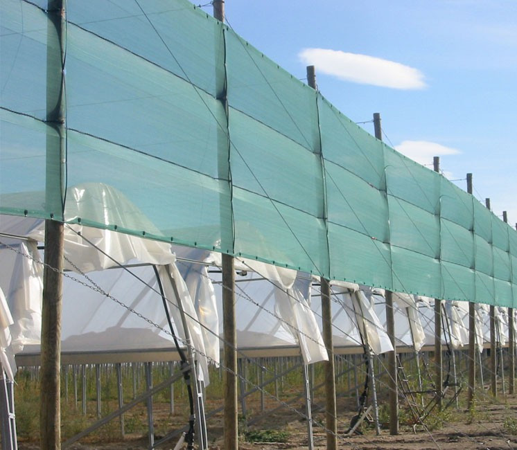 Filet Brise-vent - 1 x 100m