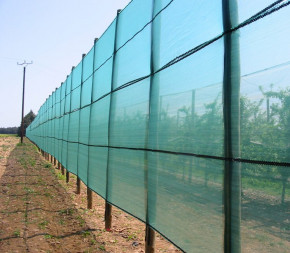 Filet Brise-vent - 1,5 x 100m Filet Brise-vent - 1,5 x 100m
