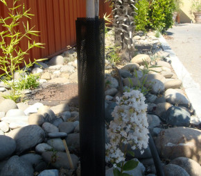 Protège Tronc - Lot de 12