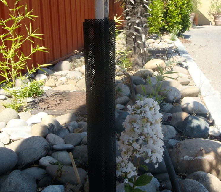 Protège Tronc - Lot de 12