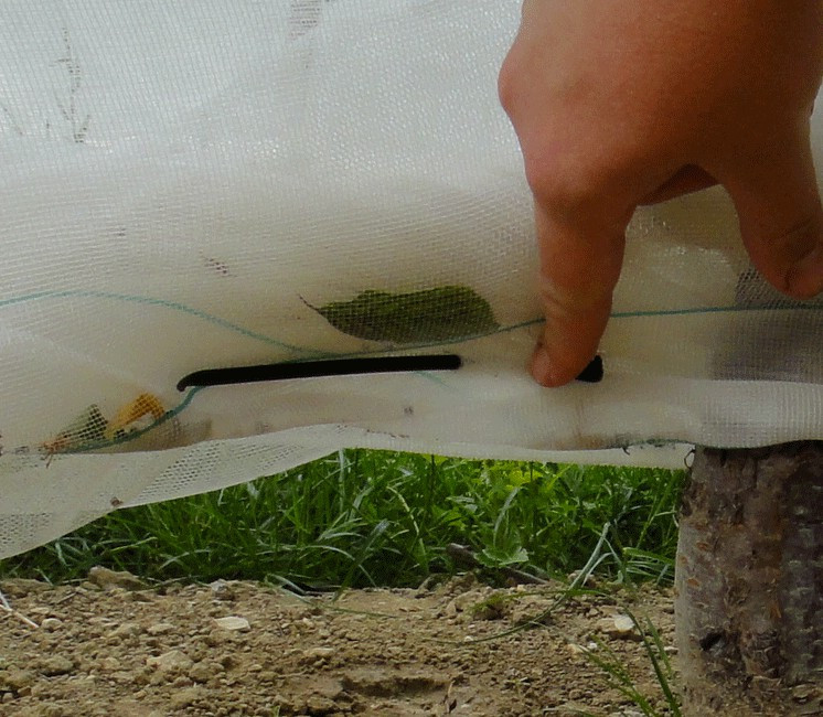 Epingle pour filet - 14cm