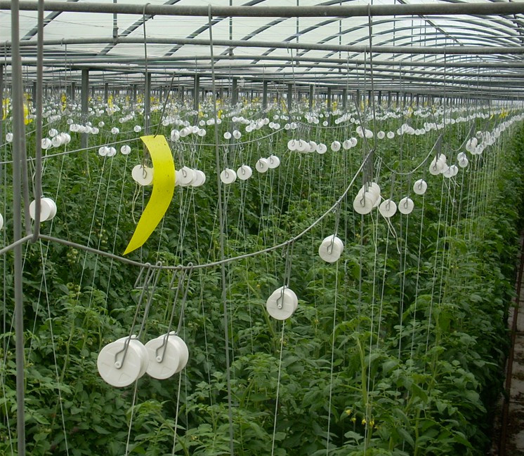 Crochet roller - 25m Crochet roller - 25m