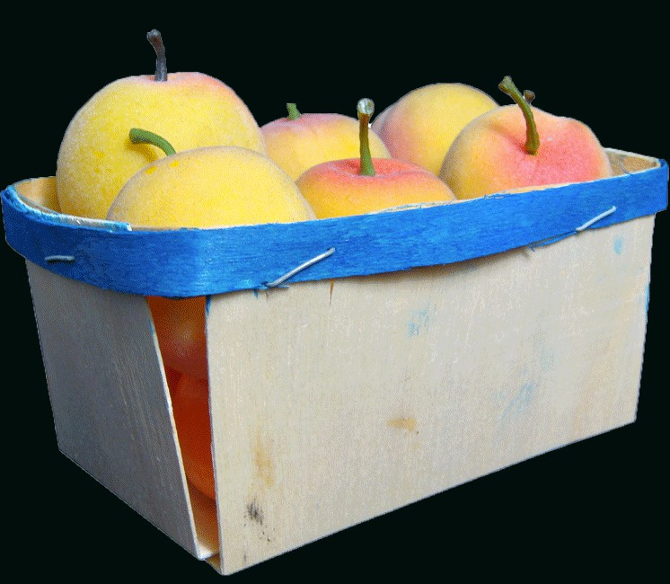 Lot de 100 barquettes en bois 500g Lot de 100 barquettes en bois 500g