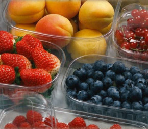 Lot de 100 barquettes PET 125g avec ou sans couvercle