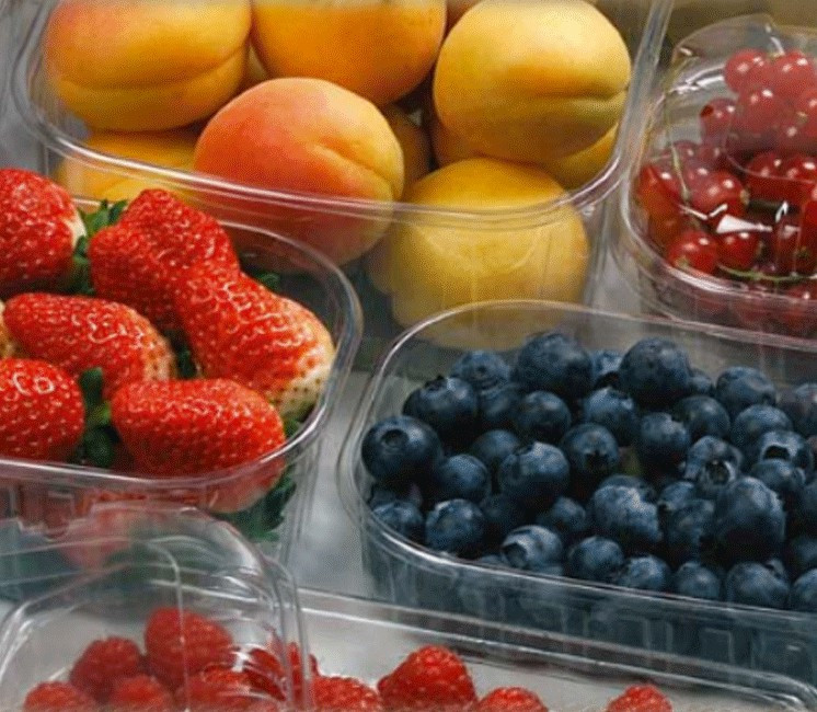 Lot de 100 barquettes PET 125g avec ou sans couvercle