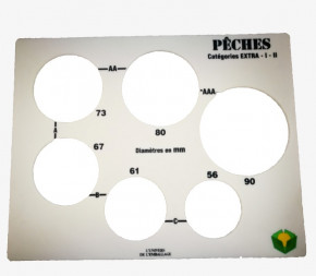 Calibreur plaque à fruits