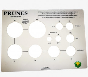 Calibreur plaque à fruits