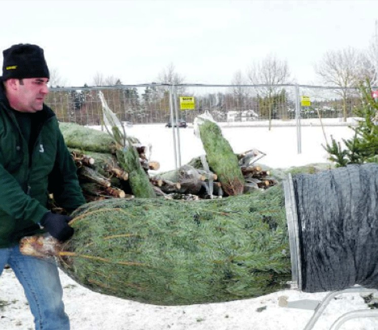 Goulotte pour filet à sapin