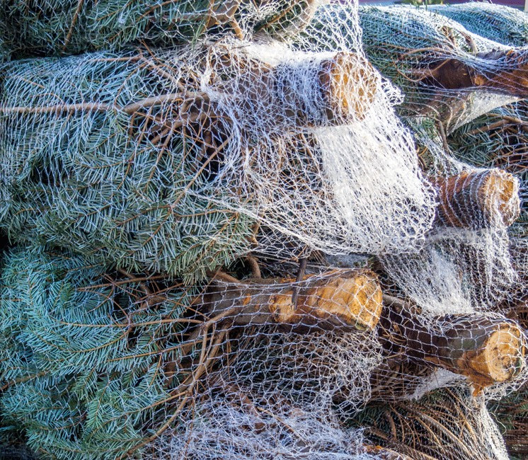 Filet à sapin - Ø 25 cm