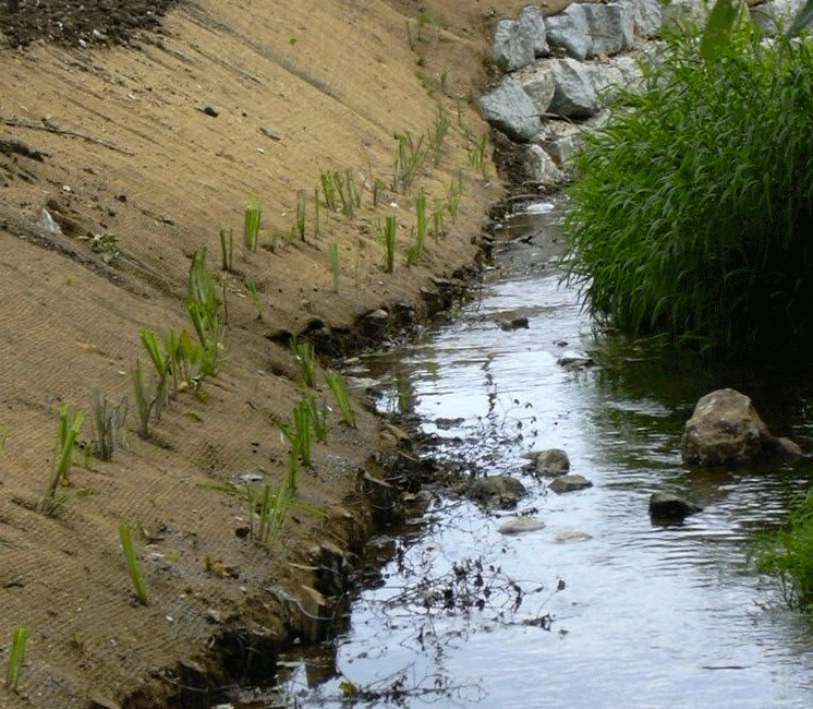 Géo Filet Coco anti érosion 400g/m² Géo Filet Coco anti érosion 400g/m²