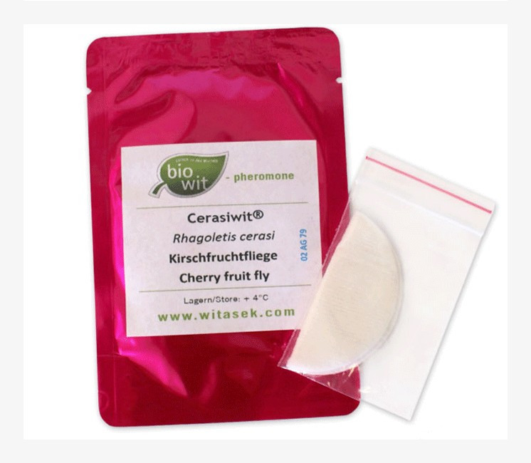 Piège à Phéromone Mouche de la Cerise