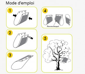 Piège à Phéromone Mouche de la Cerise