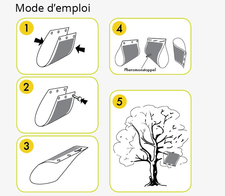Piège à Phéromone Mouche de la Cerise