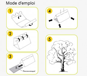 Piege A Pheromones Contre La Pyrale Du Buis