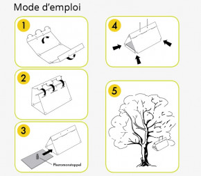 Piège à Phéromone Carpocapse de la prune Piège à Phéromone Carpocapse de la prune