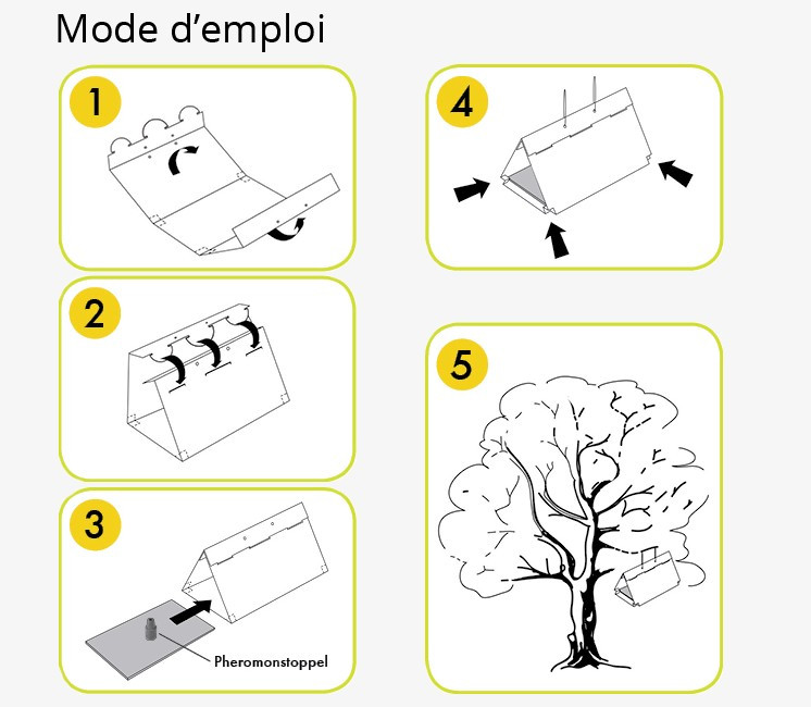 Piège à Phéromone Carpocapse Pomme et Poire Piège à Phéromone Carpocapse Pomme et Poire