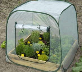 Serre pop-up pour carré potager