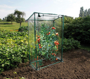 Achat Serre transparente pour... pas cher