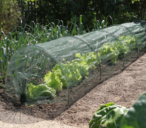 Kit Tunnel 2 en 1 : film de forçage et filet anti-insecte