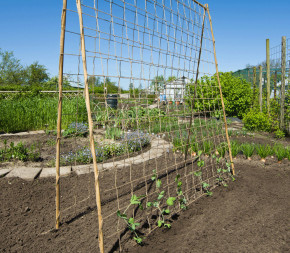 Achat Filet à ramer en jute pas cher