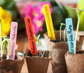 Achat Lot de 40 étiquettes de... pas cher