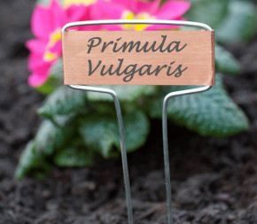 Achat Lot de 6 étiquettes 16cm en... pas cher