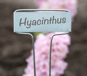 Lot de 6 étiquettes 16cm en zinc