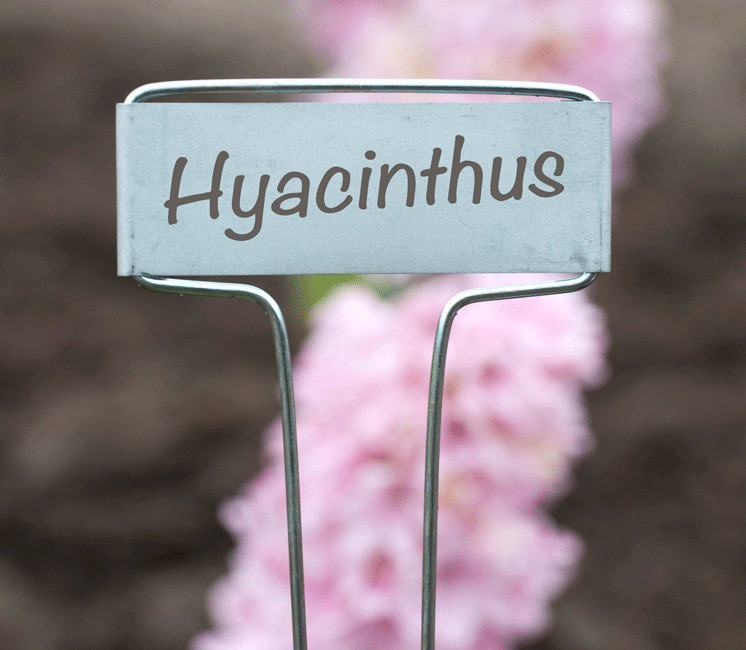 Lot de 6 étiquettes 16cm en zinc