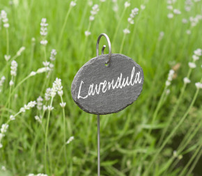 Achat Lot de 3 étiquettes en... pas cher