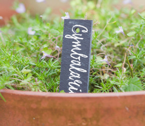 Achat Lot de 5 étiquettes en... pas cher