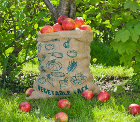 Achat Lot de 2 sacs de stockage... pas cher