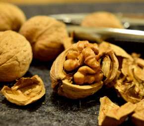 Sac récolte de noix (x 100 pièces)