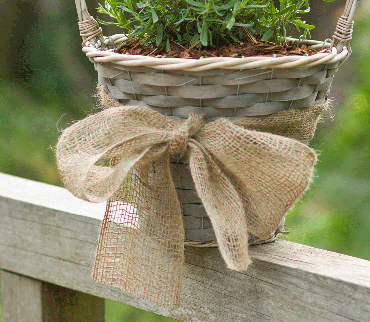 Bandeau de tuteurage en jute