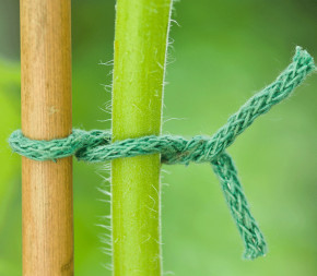 Lien de tuteurage souple métal et jute